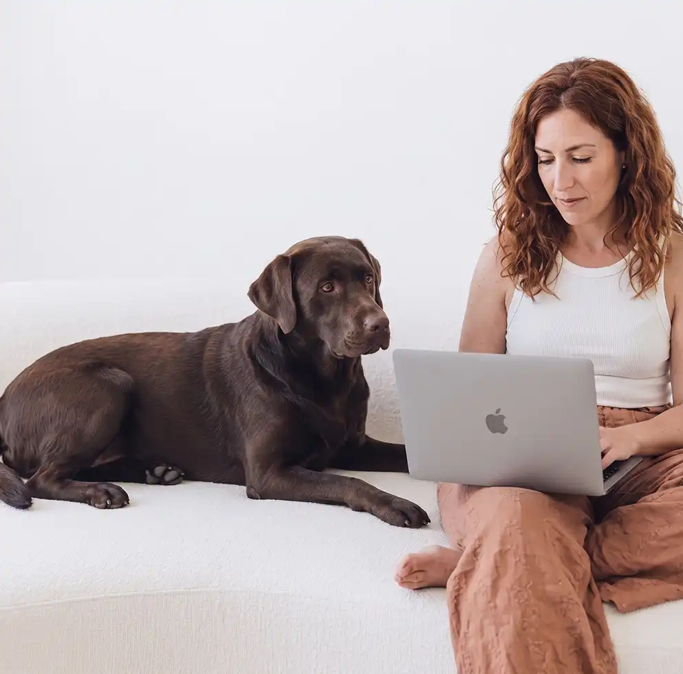 Mujer trabajando con su perro labrador chocolate en el sofá